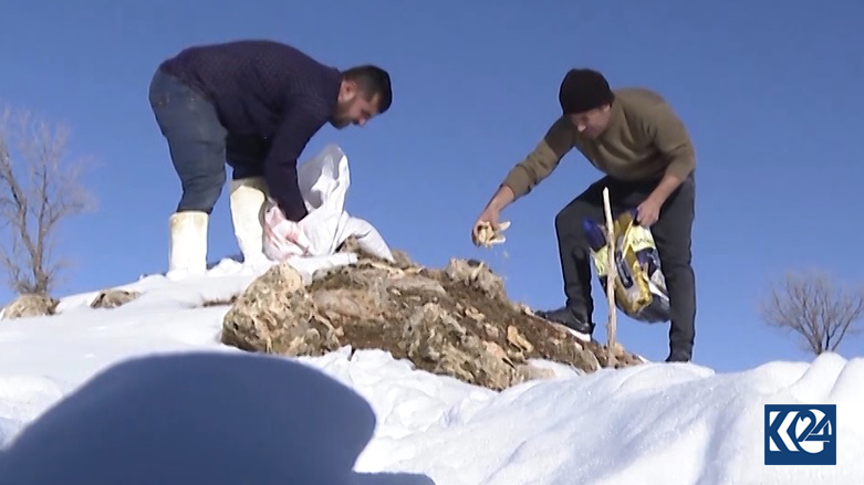 تامین خوراک برای حیوانات در مناطق سخت کوهستانی